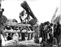 photo prise par Marcel Griaule, 1935, rgion de Bandiagara, Mali, reconstruction d un grand abri pour les hommes