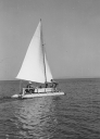 Moby Dick, en 1958, dans la baie de Saint-Clair,  ct du Lavandou