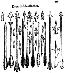 extrait de 
[La maniere de traicter les playes faictes tant par hacquebutes ...] (1552) : illustration de la page 20