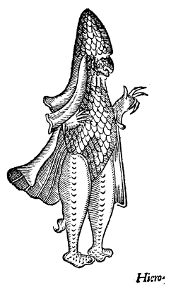 extrait de [Deux livres de chirurgie] (1573, volume 2) : des monstres tant terrestres que marins...