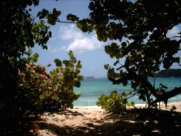 cap Macr, au sud de la Martinique